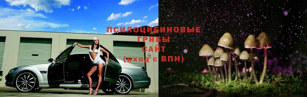 Альфа ПВП Алзамай