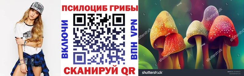 Псилоцибиновые грибы MAGIC MUSHROOMS  MEGA сайт  Красноармейск 